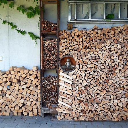 B&B Sunnesite Pratteln Exteriör bild