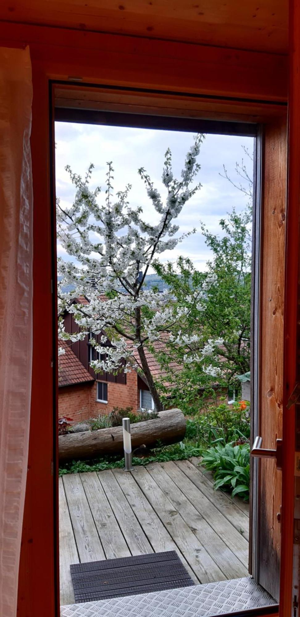 B&B Sunnesite Pratteln Exteriör bild