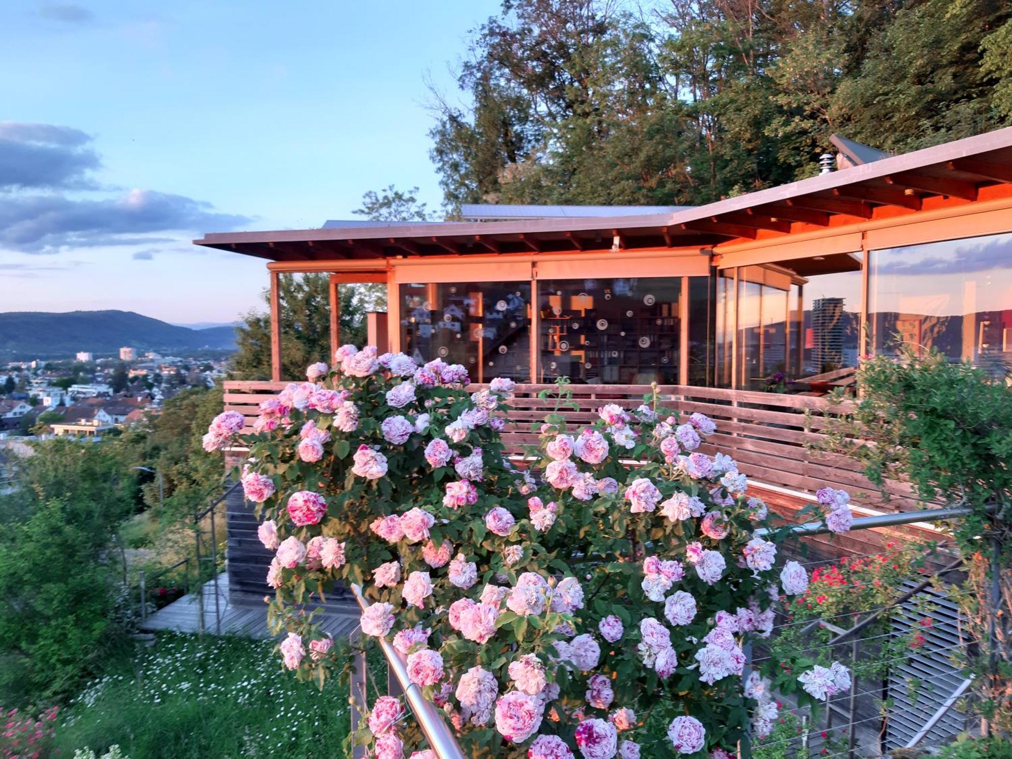 B&B Sunnesite Pratteln Exteriör bild